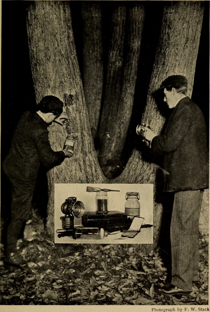 An illustration from Ourdoor sports and games, 1911, leaf 172
