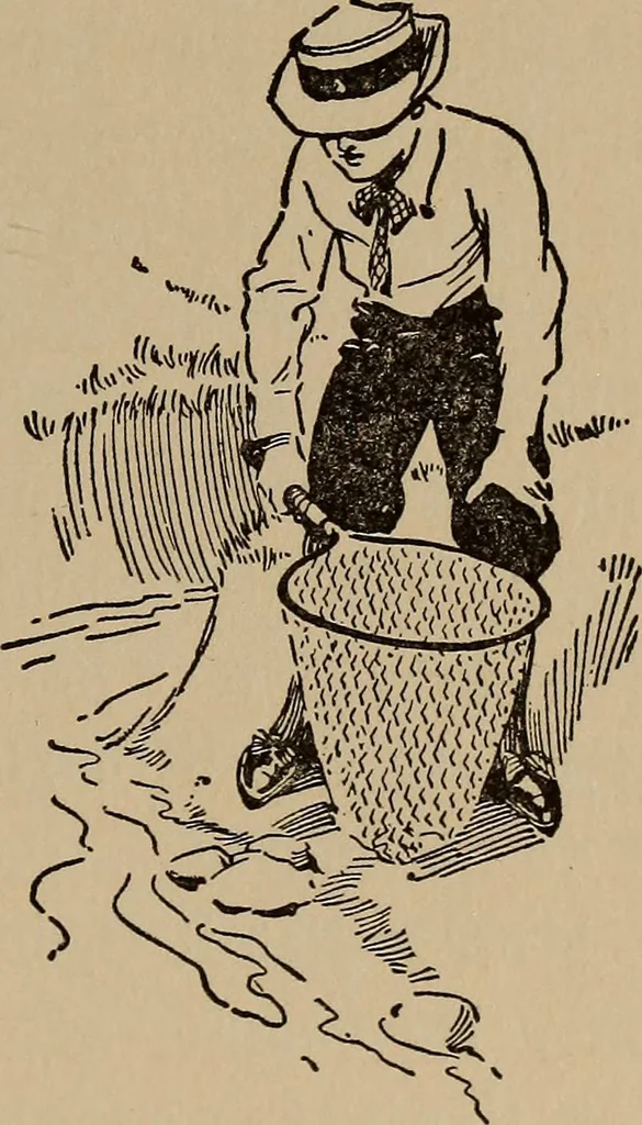 An illustration from Ourdoor sports and games, 1911, leaf 178