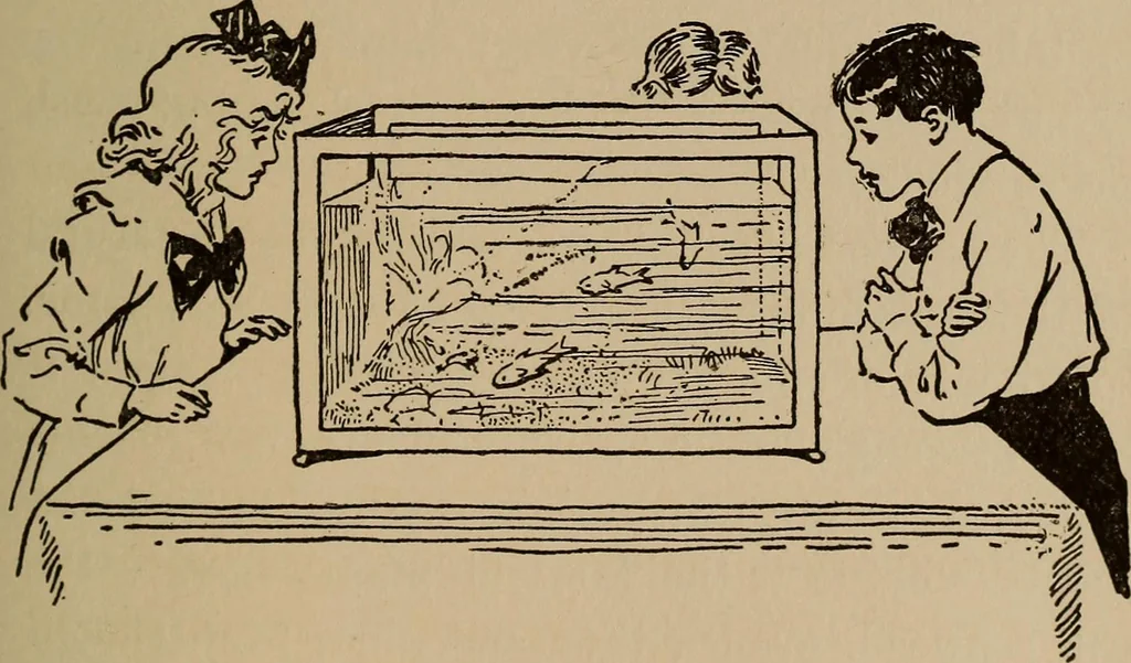 An illustration from Ourdoor sports and games, 1911, leaf 182