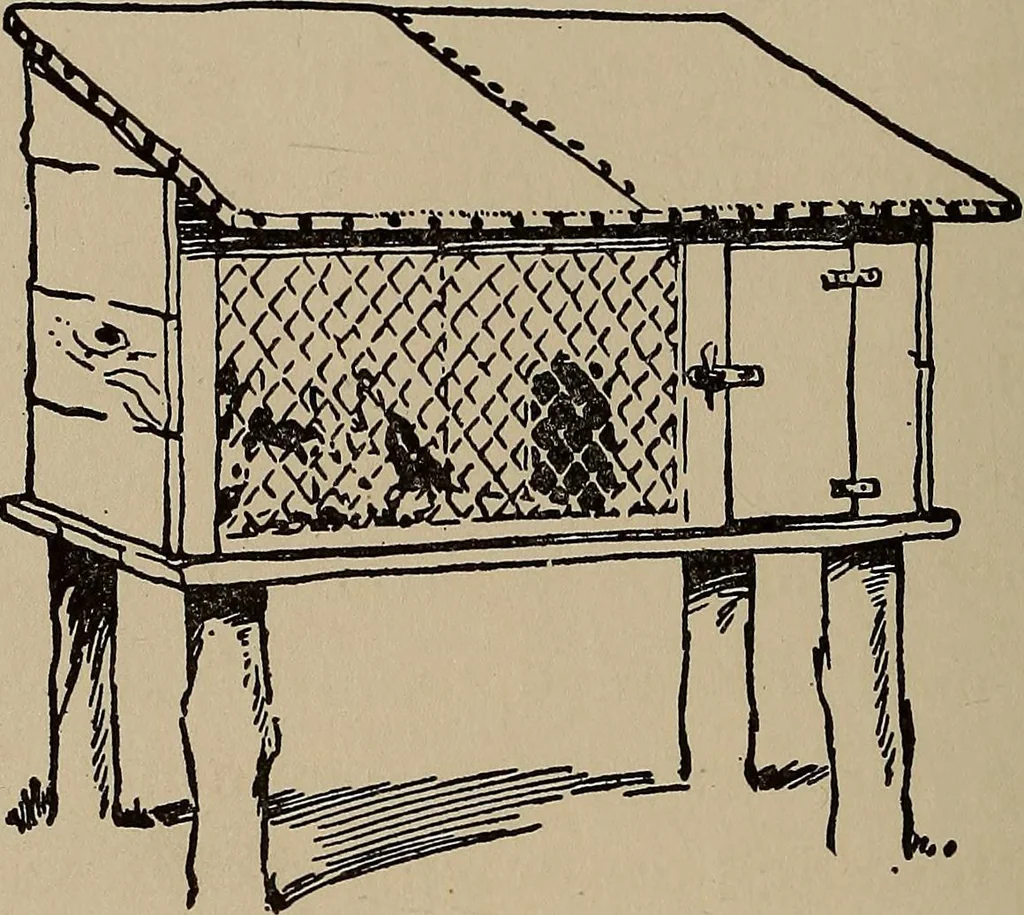 An illustration from Ourdoor sports and games, 1911, leaf 201