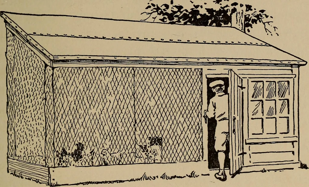 An illustration from Ourdoor sports and games, 1911, leaf 222