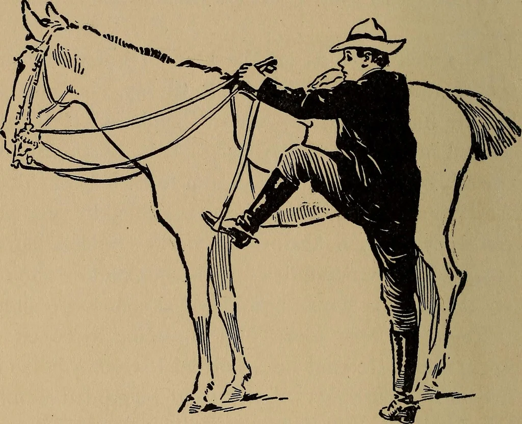An illustration from Ourdoor sports and games, 1911, leaf 249