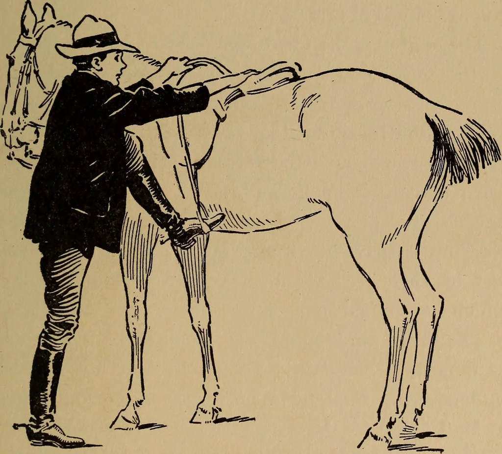 An illustration from Ourdoor sports and games, 1911, leaf 250
