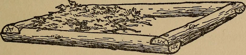 An illustration from Ourdoor sports and games, 1911, leaf 80