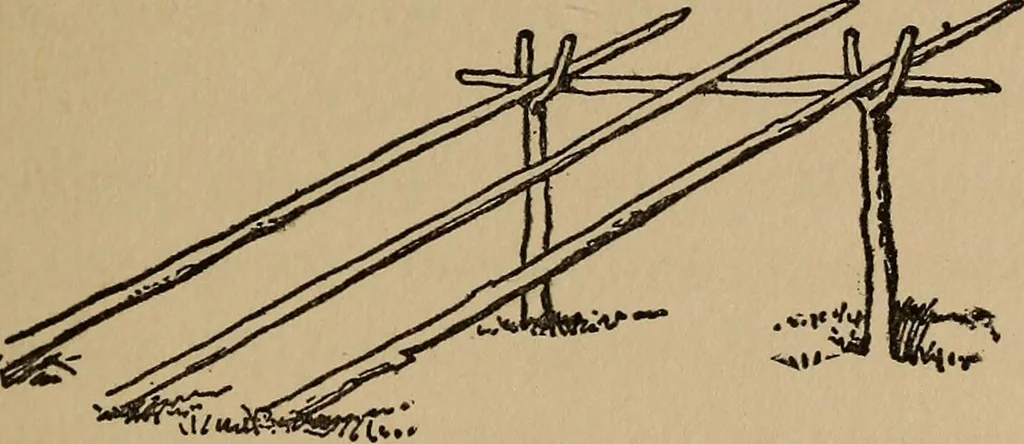 An illustration from Ourdoor sports and games, 1911, leaf 84