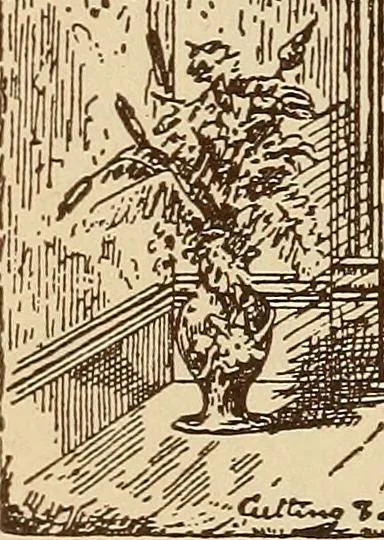 An illustration from Our doors and windows : how to decorate them, 1889, leaf 89