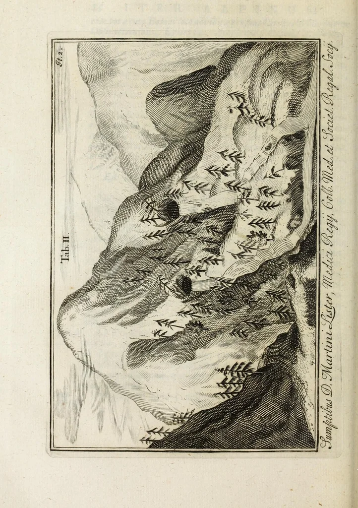 An illustration from Ouresiphoites Helveticus, sive, Itinera per Helvetiae alpinas regiones facta annis MDCCII, MDCCIII, MDCCIV, MDCCV, MDCCVI, MDCCVII, MDCCIX, MDCCX, MDCCCXI, 1723, leaf 152