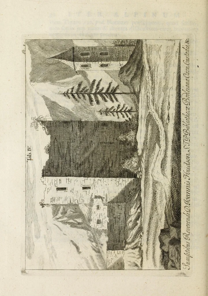 An illustration from Ouresiphoites Helveticus, sive, Itinera per Helvetiae alpinas regiones facta annis MDCCII, MDCCIII, MDCCIV, MDCCV, MDCCVI, MDCCVII, MDCCIX, MDCCX, MDCCCXI, 1723, leaf 160