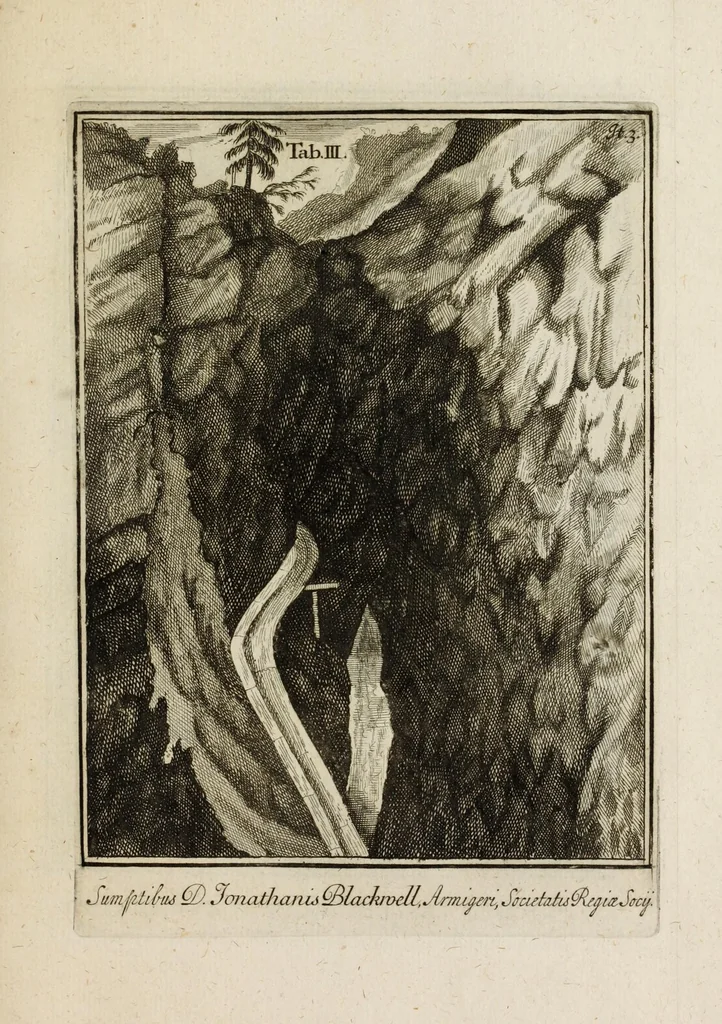 An illustration from Ouresiphoites Helveticus, sive, Itinera per Helvetiae alpinas regiones facta annis MDCCII, MDCCIII, MDCCIV, MDCCV, MDCCVI, MDCCVII, MDCCIX, MDCCX, MDCCCXI, 1723, leaf 265
