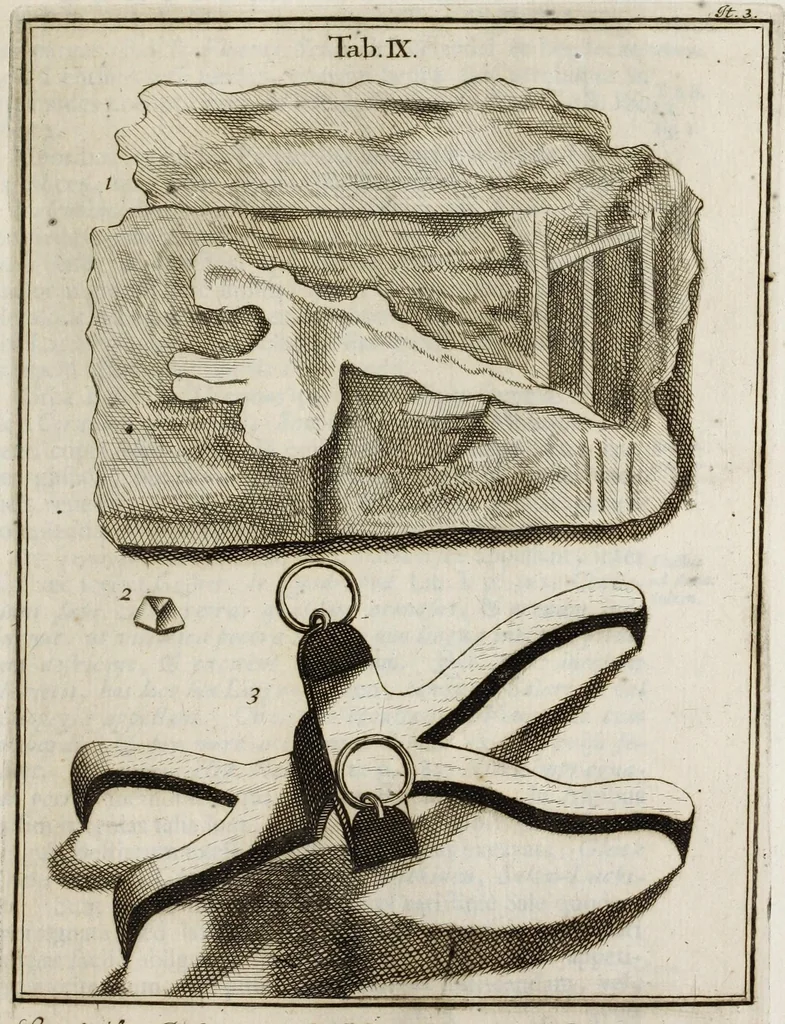 An illustration from Ouresiphoites Helveticus, sive, Itinera per Helvetiae alpinas regiones facta annis MDCCII, MDCCIII, MDCCIV, MDCCV, MDCCVI, MDCCVII, MDCCIX, MDCCX, MDCCCXI, 1723, leaf 279