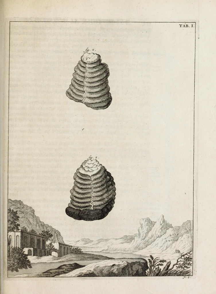 An illustration from Ouresiphoites Helveticus, sive, Itinera per Helvetiae alpinas regiones facta annis MDCCII, MDCCIII, MDCCIV, MDCCV, MDCCVI, MDCCVII, MDCCIX, MDCCX, MDCCCXI, 1723, leaf 311