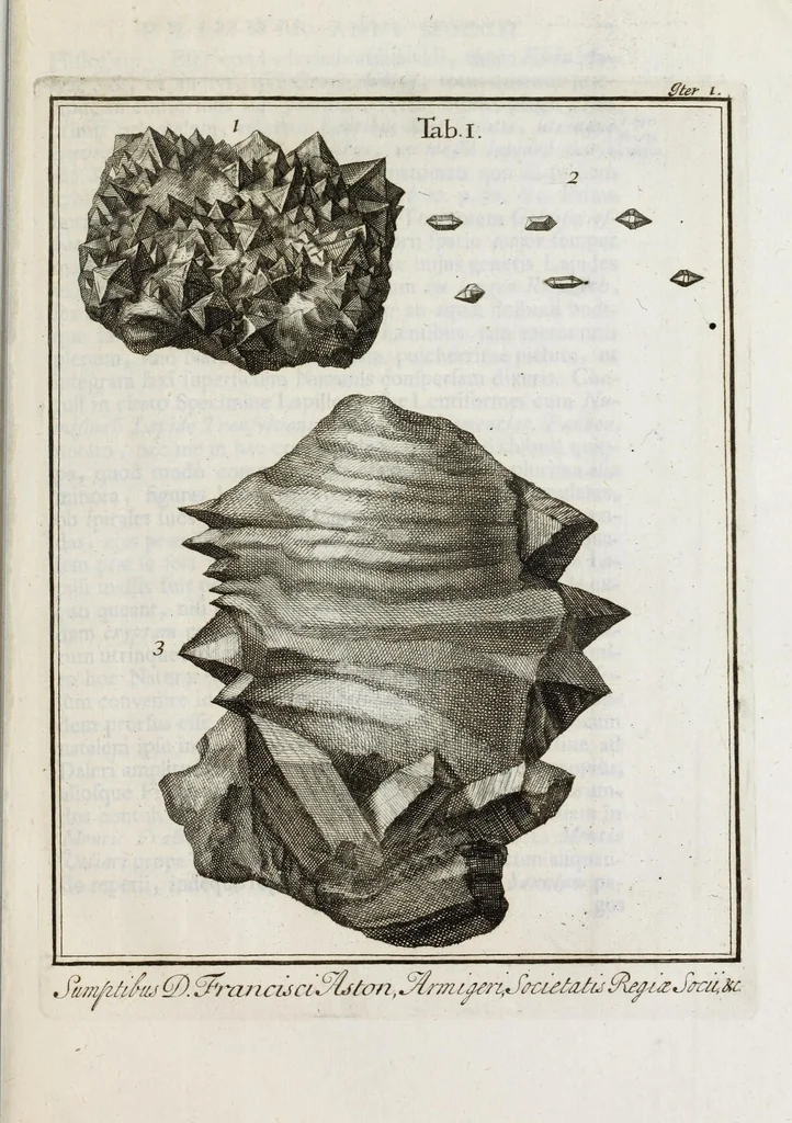 An illustration from Ouresiphoites Helveticus, sive, Itinera per Helvetiae alpinas regiones facta annis MDCCII, MDCCIII, MDCCIV, MDCCV, MDCCVI, MDCCVII, MDCCIX, MDCCX, MDCCCXI, 1723, leaf 39