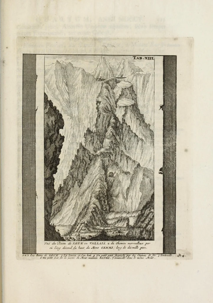 An illustration from Ouresiphoites Helveticus, sive, Itinera per Helvetiae alpinas regiones facta annis MDCCII, MDCCIII, MDCCIV, MDCCV, MDCCVI, MDCCVII, MDCCIX, MDCCX, MDCCCXI, 1723, leaf 479