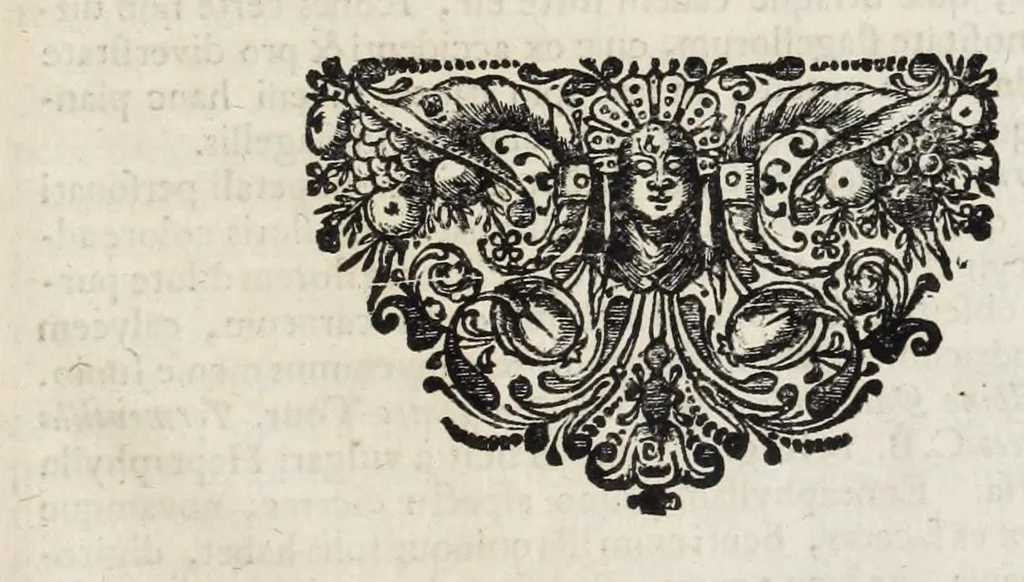 An illustration from Ouresiphoites Helveticus, sive, Itinera per Helvetiae alpinas regiones facta annis MDCCII, MDCCIII, MDCCIV, MDCCV, MDCCVI, MDCCVII, MDCCIX, MDCCX, MDCCCXI, 1723, leaf 497