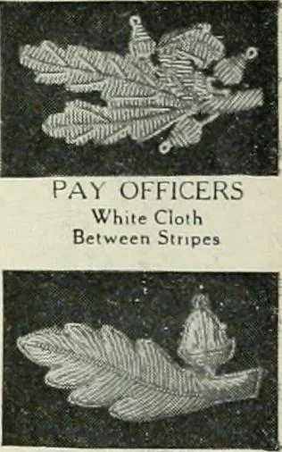 An illustration from Our flag. Origin and progress of the flag of the United States of America, with an introductory account of the symbols, standards, banners and flags of ancient and modern naitons, 1872, leaf 163