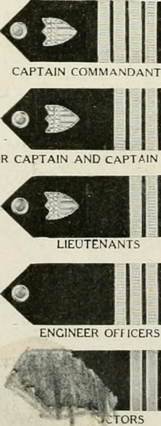 An illustration from Our flag. Origin and progress of the flag of the United States of America, with an introductory account of the symbols, standards, banners and flags of ancient and modern naitons, 1872, leaf 165