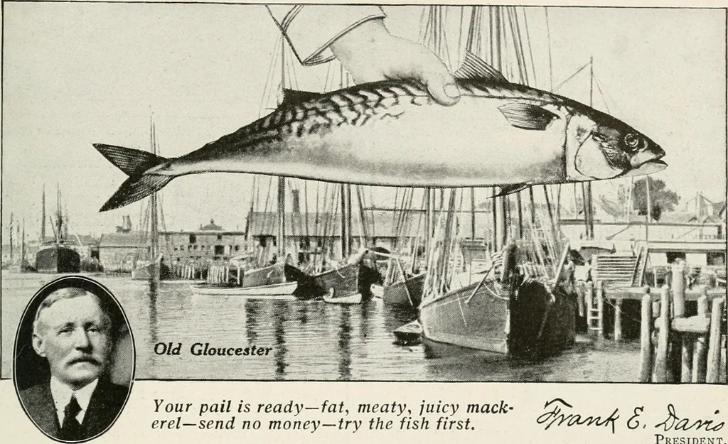 An illustration from Our flag. Origin and progress of the flag of the United States of America, with an introductory account of the symbols, standards, banners and flags of ancient and modern naitons, 1872, leaf 186