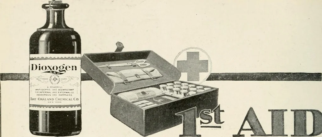 An illustration from Our flag. Origin and progress of the flag of the United States of America, with an introductory account of the symbols, standards, banners and flags of ancient and modern naitons, 1872, leaf 21