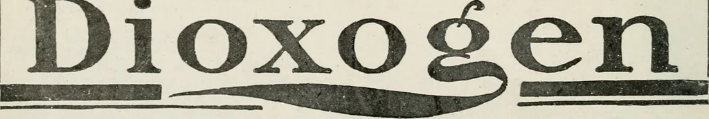 An illustration from Our flag. Origin and progress of the flag of the United States of America, with an introductory account of the symbols, standards, banners and flags of ancient and modern naitons, 1872, leaf 21