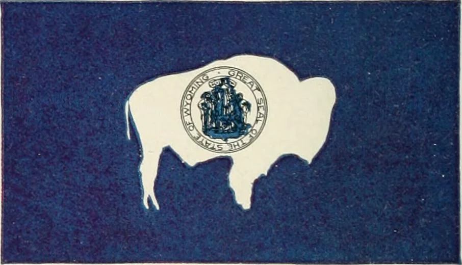 An illustration from Our flag. Origin and progress of the flag of the United States of America, with an introductory account of the symbols, standards, banners and flags of ancient and modern naitons, 1872, leaf 81