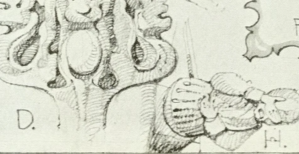 An illustration from ...Our homeland churches and how to study them, 1912, leaf 101