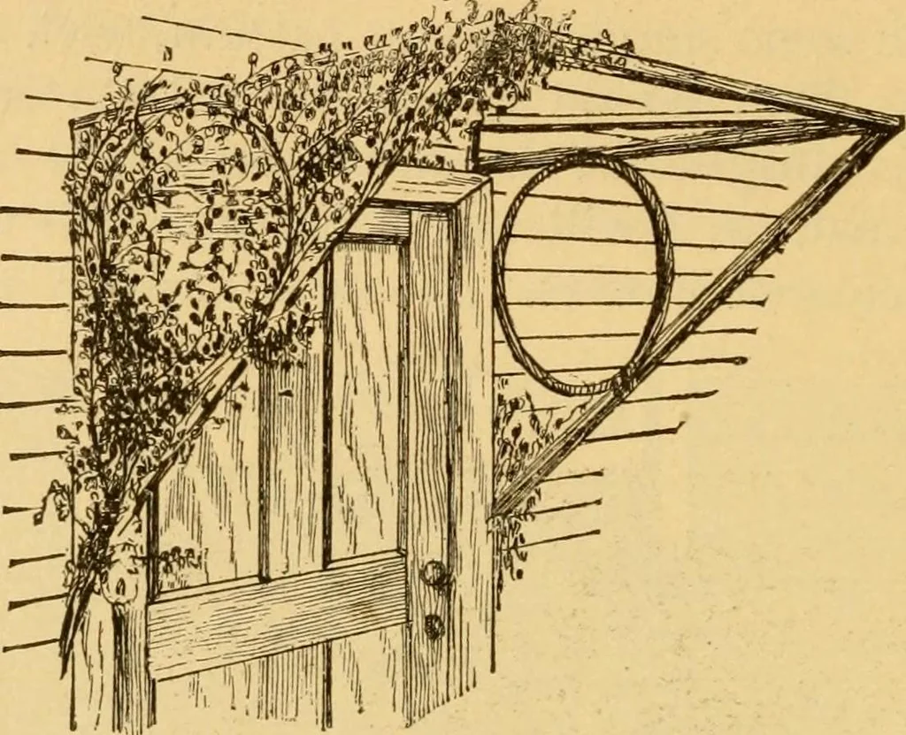 An illustration from Our homes; how to beautify them. One hundred and fifty engravings, 1888, leaf 103