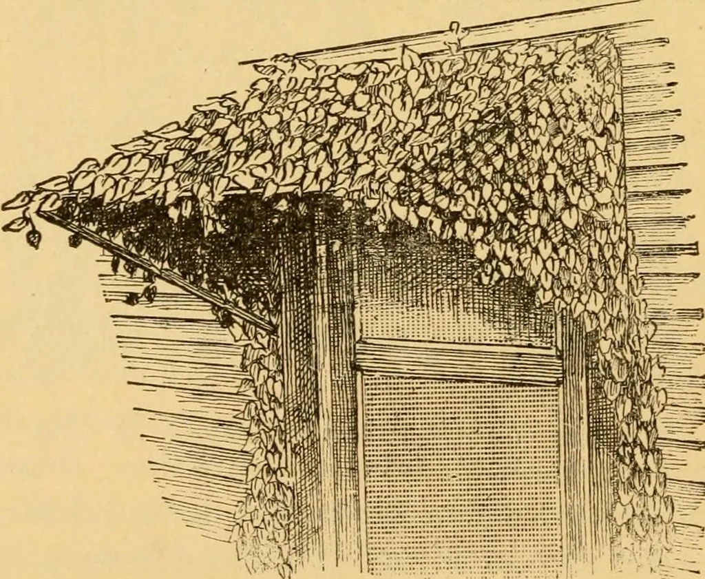 An illustration from Our homes; how to beautify them. One hundred and fifty engravings, 1888, leaf 103