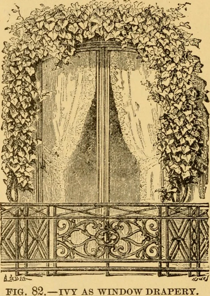 An illustration from Our homes; how to beautify them. One hundred and fifty engravings, 1888, leaf 105