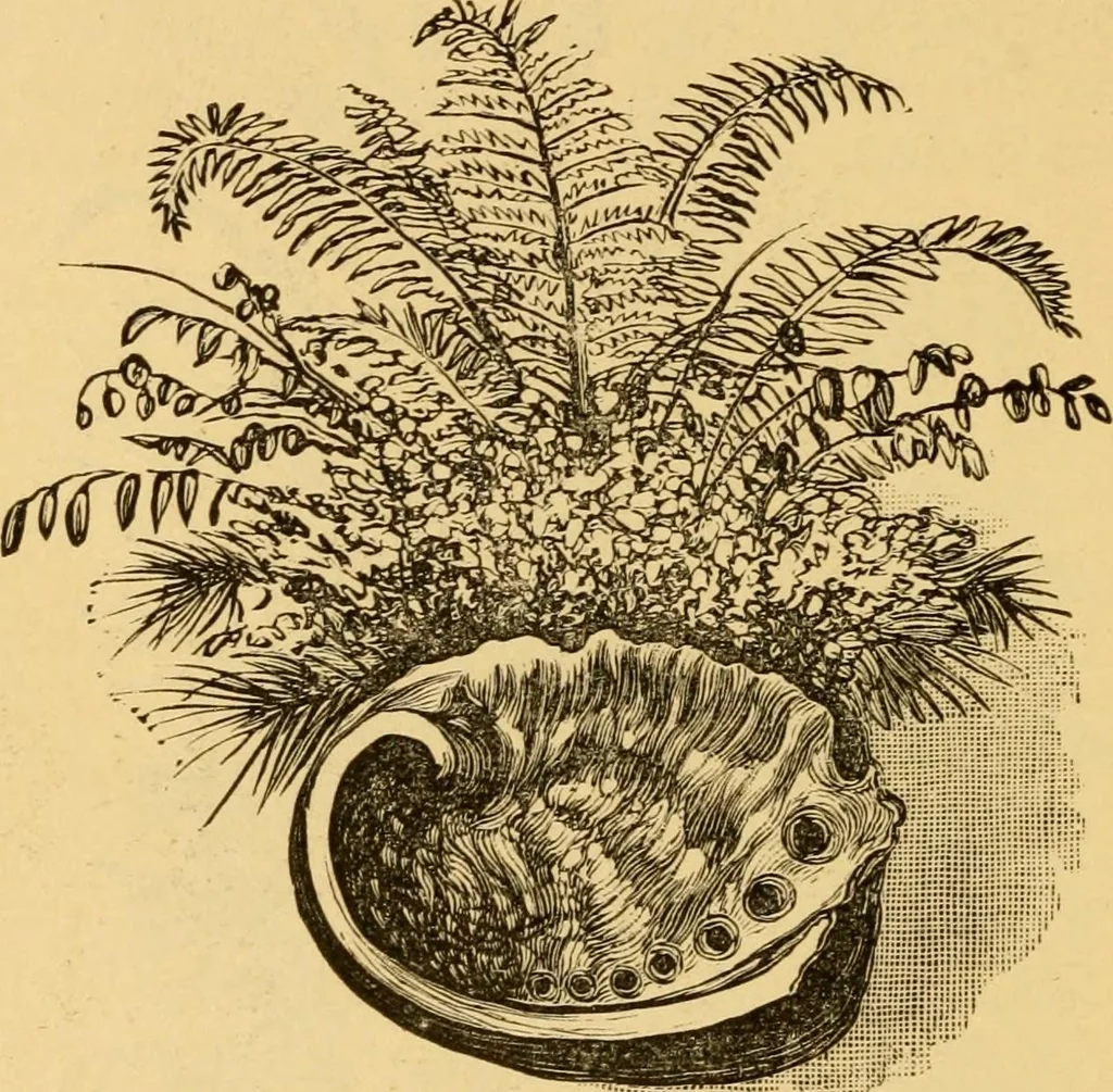 An illustration from Our homes; how to beautify them. One hundred and fifty engravings, 1888, leaf 111