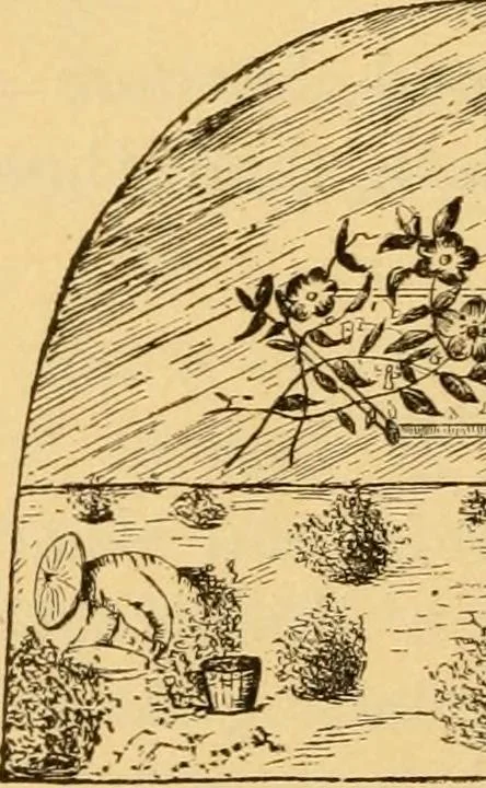 An illustration from Our homes; how to beautify them. One hundred and fifty engravings, 1888, leaf 115