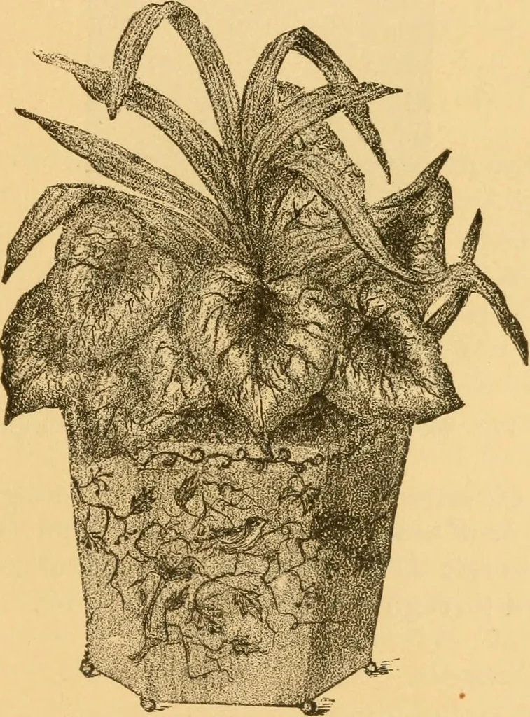 An illustration from Our homes; how to beautify them. One hundred and fifty engravings, 1888, leaf 120