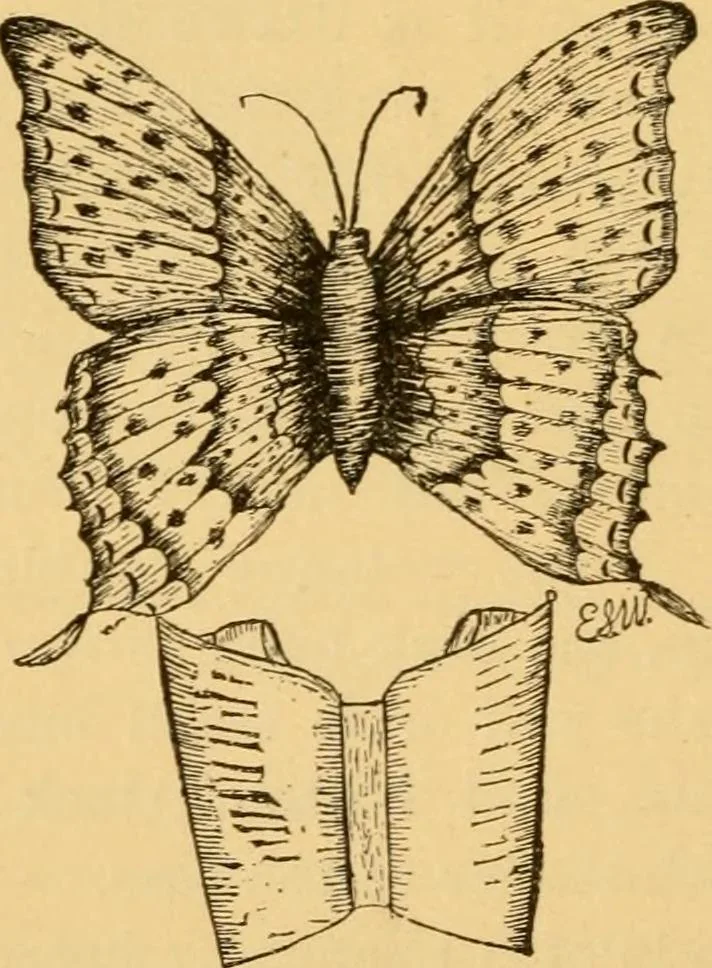 An illustration from Our homes; how to beautify them. One hundred and fifty engravings, 1888, leaf 151