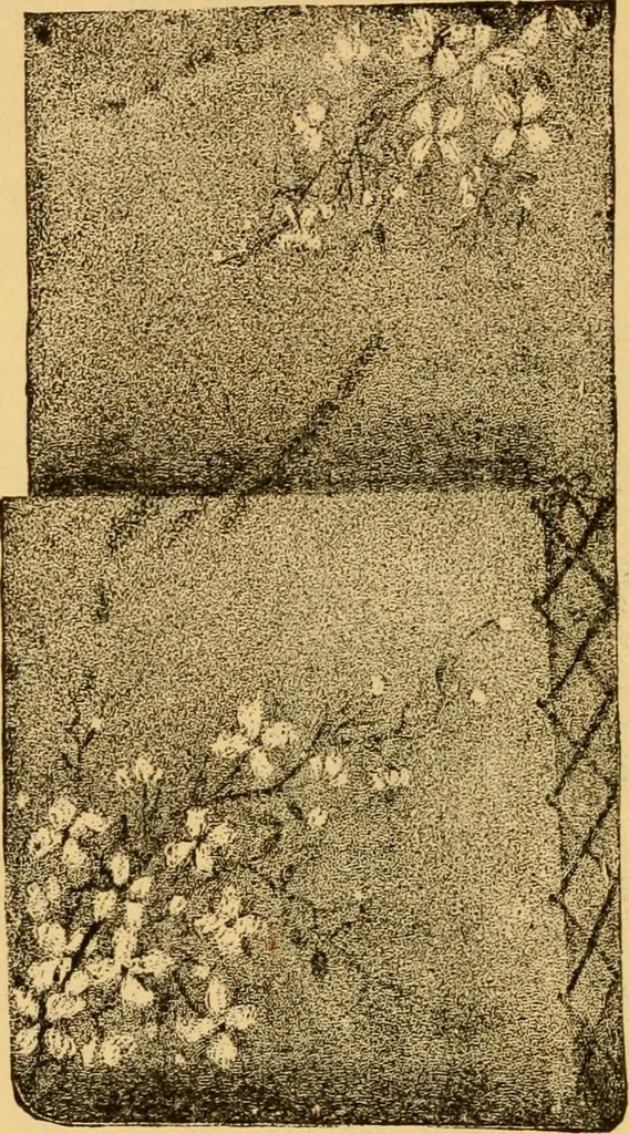An illustration from Our homes; how to beautify them. One hundred and fifty engravings, 1888, leaf 153