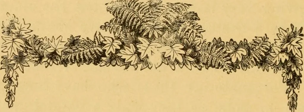 An illustration from Our homes; how to beautify them. One hundred and fifty engravings, 1888, leaf 163