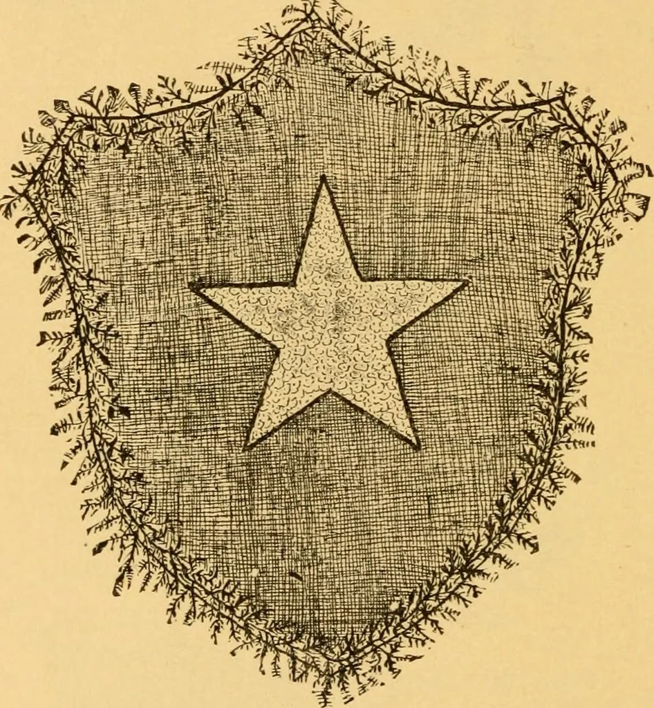 An illustration from Our homes; how to beautify them. One hundred and fifty engravings, 1888, leaf 167