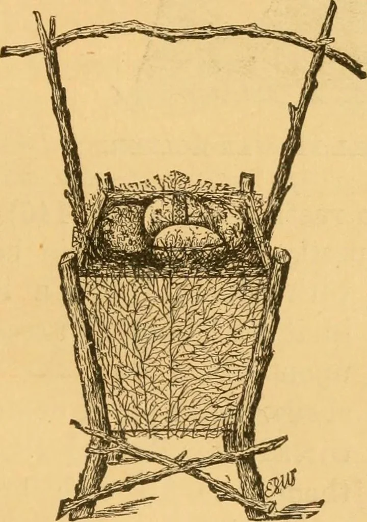 An illustration from Our homes; how to beautify them. One hundred and fifty engravings, 1888, leaf 174