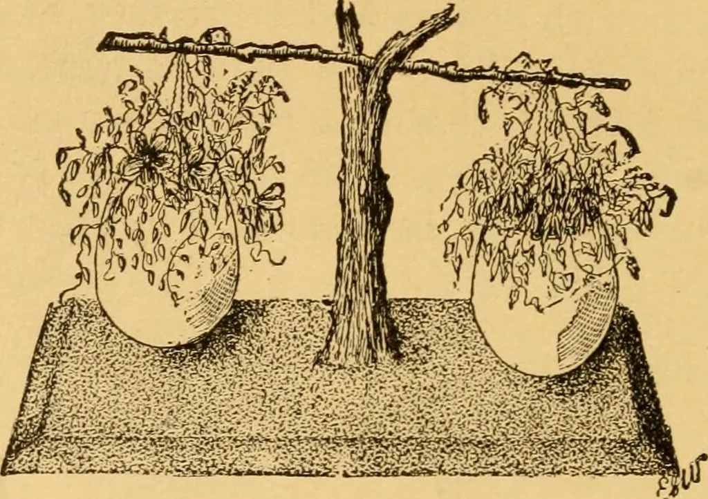 An illustration from Our homes; how to beautify them. One hundred and fifty engravings, 1888, leaf 175