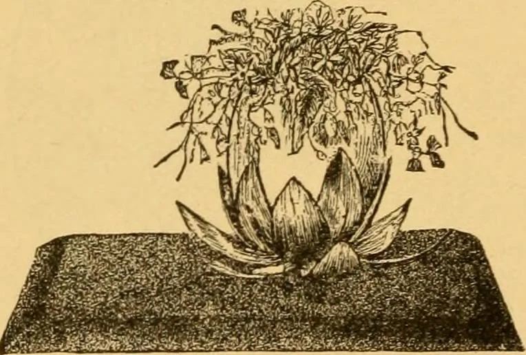 An illustration from Our homes; how to beautify them. One hundred and fifty engravings, 1888, leaf 175