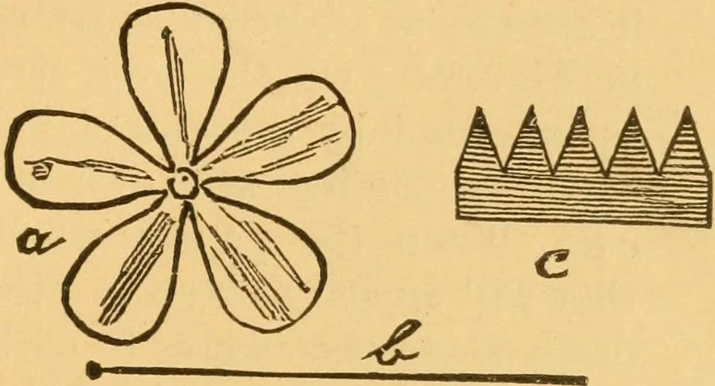 An illustration from Our homes; how to beautify them. One hundred and fifty engravings, 1888, leaf 182