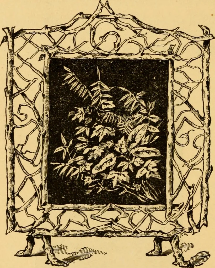 An illustration from Our homes; how to beautify them. One hundred and fifty engravings, 1888, leaf 81