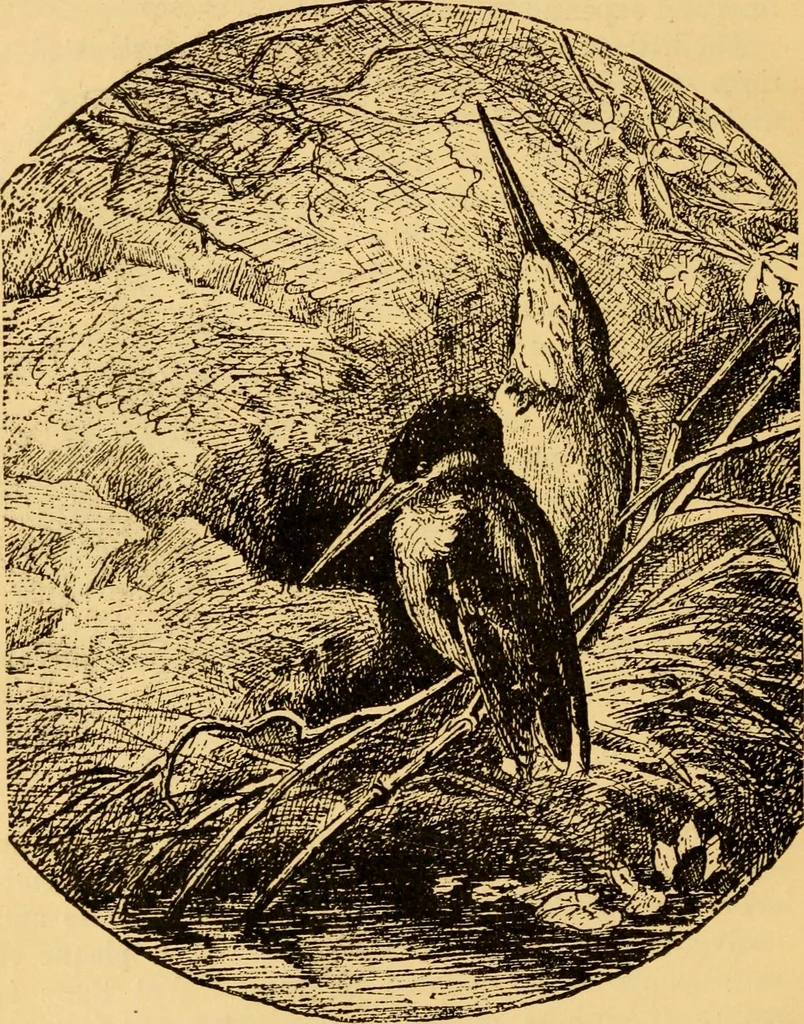 An illustration from Our homes; how to beautify them. One hundred and fifty engravings, 1888, leaf 85