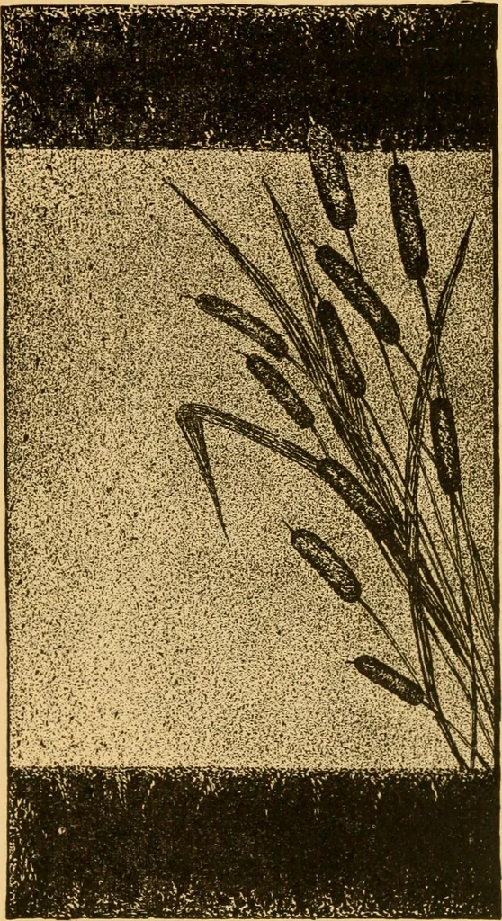 An illustration from Our homes; how to beautify them. One hundred and fifty engravings, 1888, leaf 94