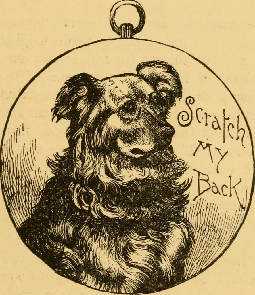 An illustration from Our homes; how to beautify them. One hundred and fifty engravings, 1888, leaf 96