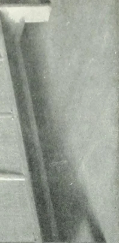 An illustration from Our homes and how to make the best of them, 1909, leaf 258