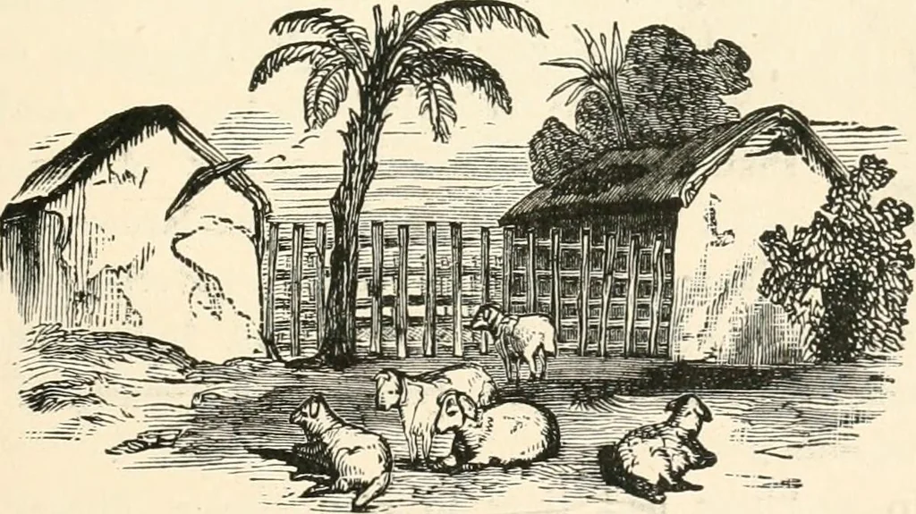 An illustration from Our homes and their adornments, or, How to build, finish, furnish and adorn a home, containing practical instructions for the building of homes, interior decoration, wood carving, scroll sawing, house painting, window hangings, screens, curtains, window gardening, incidental decorations, decorative-art needle-work, and economic landscape gardening; to which is added a household compendium of new, practical and valuable recipes, the whole being designed to make happy homes for happy people, 1883, leaf 110