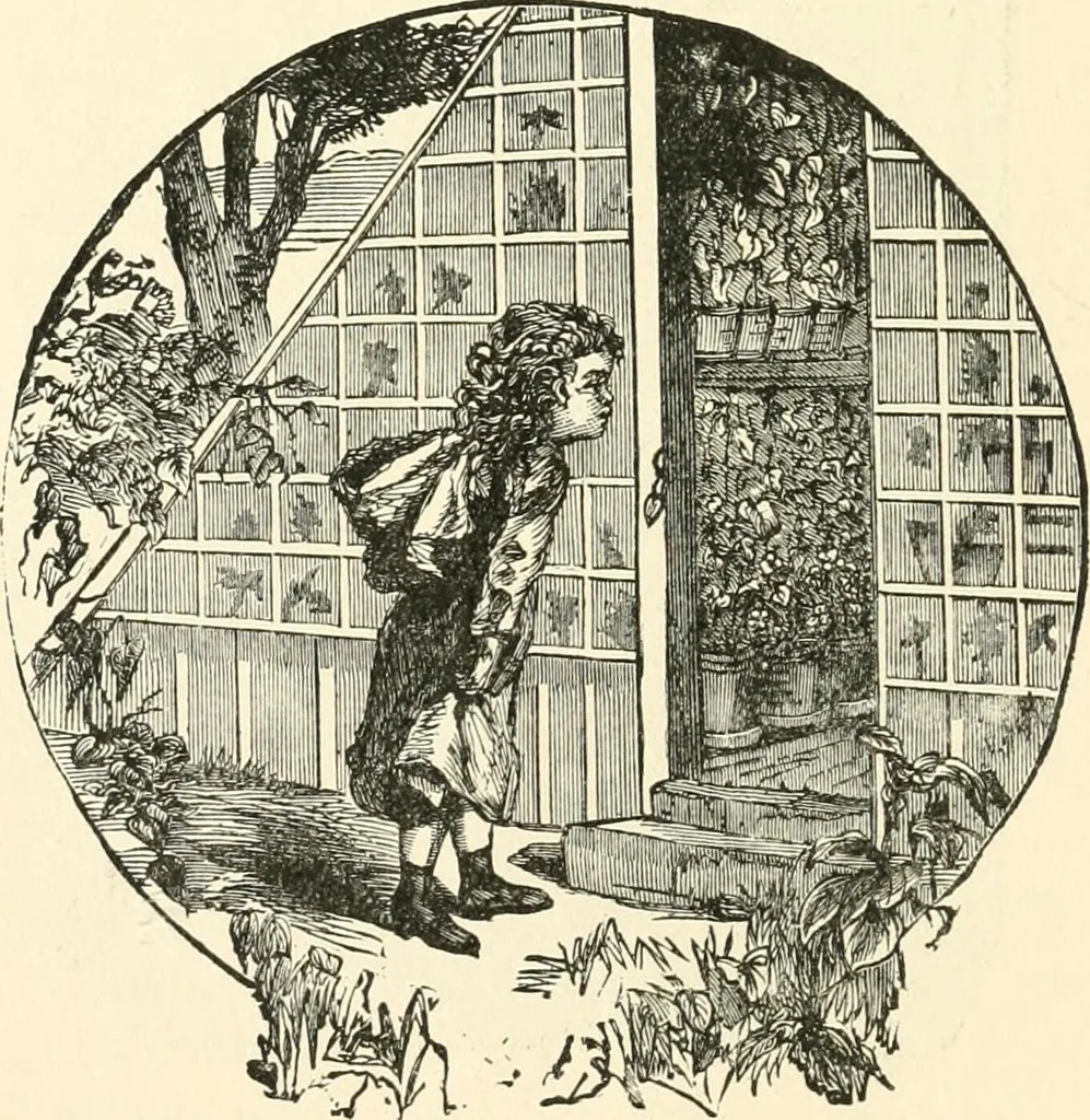 An illustration from Our homes and their adornments, or, How to build, finish, furnish and adorn a home, containing practical instructions for the building of homes, interior decoration, wood carving, scroll sawing, house painting, window hangings, screens, curtains, window gardening, incidental decorations, decorative-art needle-work, and economic landscape gardening; to which is added a household compendium of new, practical and valuable recipes, the whole being designed to make happy homes for happy people, 1883, leaf 119