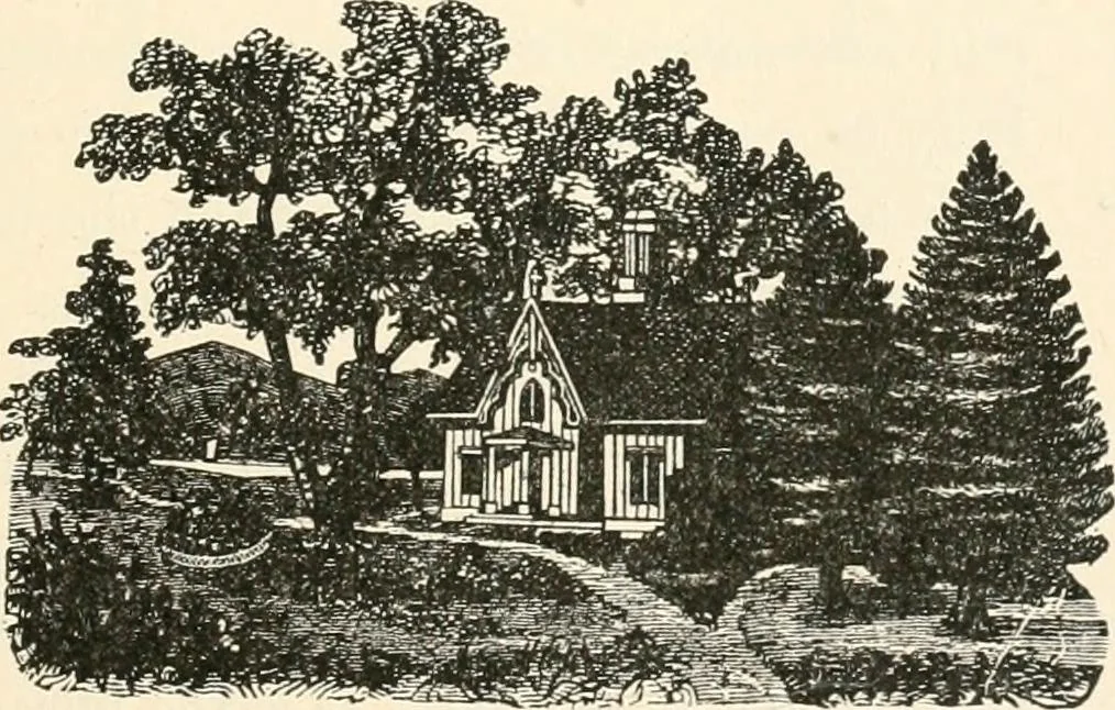 An illustration from Our homes and their adornments, or, How to build, finish, furnish and adorn a home, containing practical instructions for the building of homes, interior decoration, wood carving, scroll sawing, house painting, window hangings, screens, curtains, window gardening, incidental decorations, decorative-art needle-work, and economic landscape gardening; to which is added a household compendium of new, practical and valuable recipes, the whole being designed to make happy homes for happy people, 1883, leaf 146