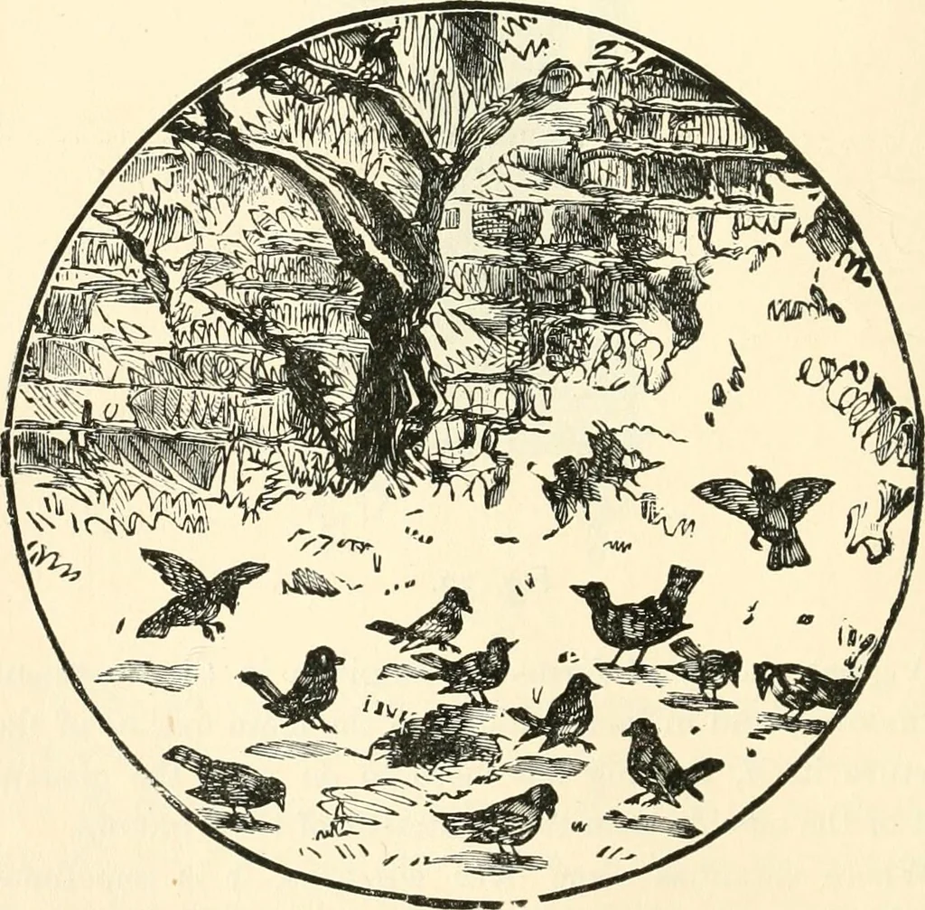 An illustration from Our homes and their adornments, or, How to build, finish, furnish and adorn a home, containing practical instructions for the building of homes, interior decoration, wood carving, scroll sawing, house painting, window hangings, screens, curtains, window gardening, incidental decorations, decorative-art needle-work, and economic landscape gardening; to which is added a household compendium of new, practical and valuable recipes, the whole being designed to make happy homes for happy people, 1883, leaf 181