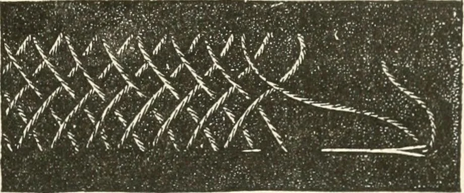 An illustration from Our homes and their adornments, or, How to build, finish, furnish and adorn a home, containing practical instructions for the building of homes, interior decoration, wood carving, scroll sawing, house painting, window hangings, screens, curtains, window gardening, incidental decorations, decorative-art needle-work, and economic landscape gardening; to which is added a household compendium of new, practical and valuable recipes, the whole being designed to make happy homes for happy people, 1883, leaf 264