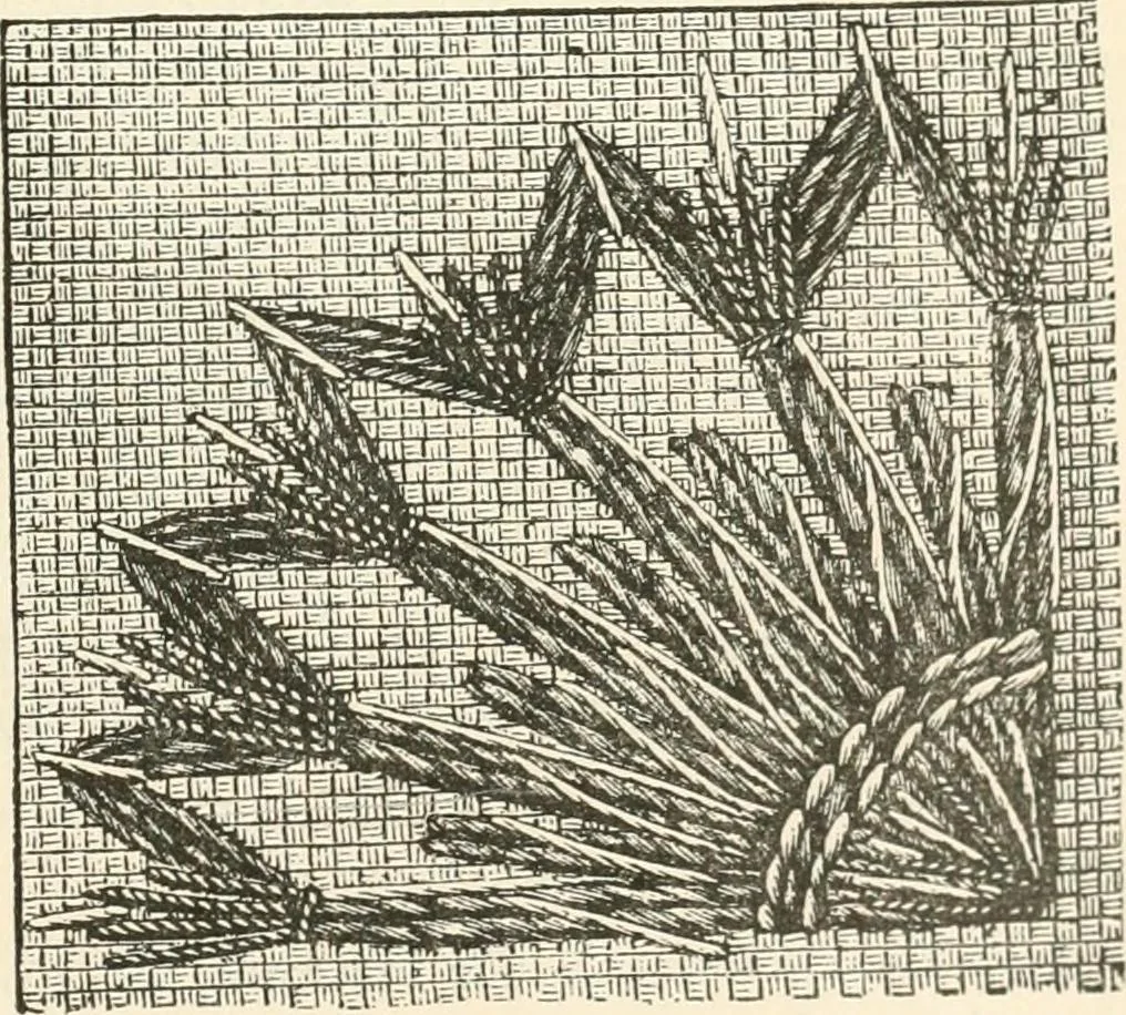 An illustration from Our homes and their adornments, or, How to build, finish, furnish and adorn a home, containing practical instructions for the building of homes, interior decoration, wood carving, scroll sawing, house painting, window hangings, screens, curtains, window gardening, incidental decorations, decorative-art needle-work, and economic landscape gardening; to which is added a household compendium of new, practical and valuable recipes, the whole being designed to make happy homes for happy people, 1883, leaf 264